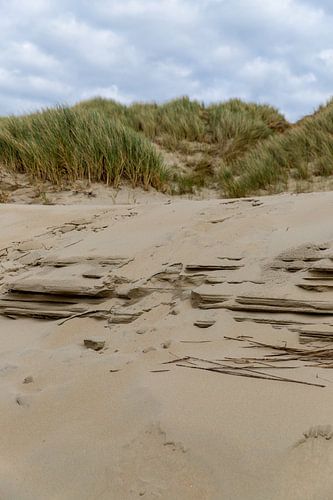 Landschap | Texel | Waddeneiland
