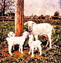 Sophie The British Saanen Goat With Babies by Dorothy Berry-Lound thumbnail