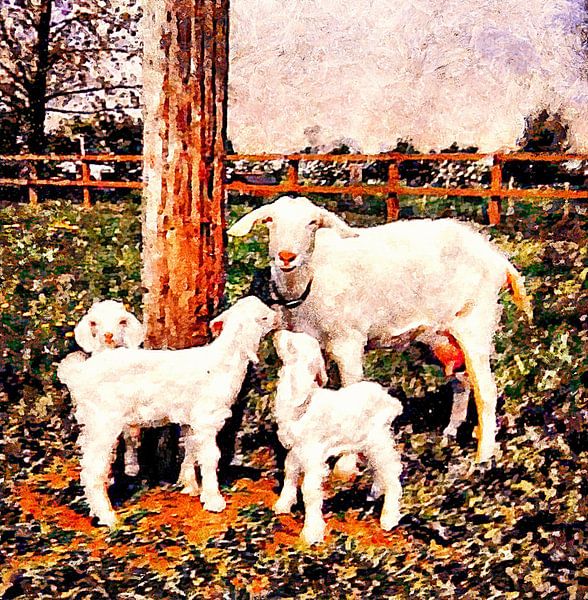 Sophie The British Saanen Goat With Babies by Dorothy Berry-Lound