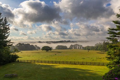 Beautiful view of nature in Pembrokeshire a county in the southwest of Wales England UK.