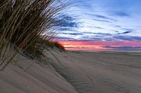 Le mal de mer grâce à la vue sur la mer avec les dunes
