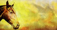 Hoofd van een paard met een gekleurd achtergrond. van Jan Brons thumbnail