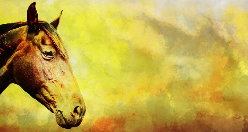 Hoofd van een paard met een gekleurd achtergrond. van Jan Brons