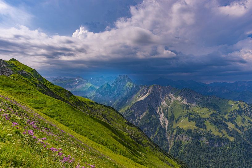 Allgäuer Alpen von Walter G. Allgöwer