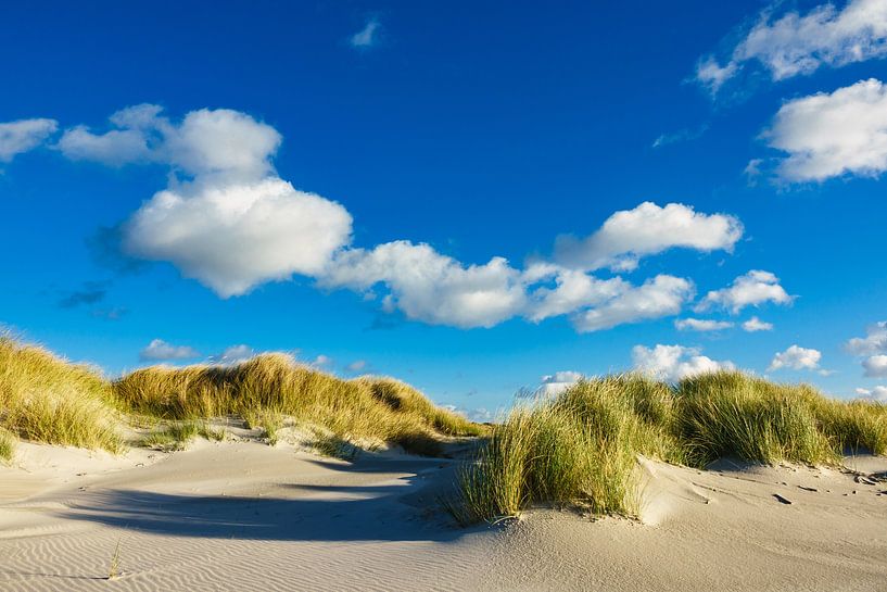 Landschaft mit Dünen auf der Insel Amrum par Rico Ködder