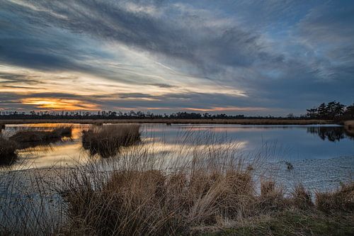 Sonnenuntergang Kalmthoutse Heide