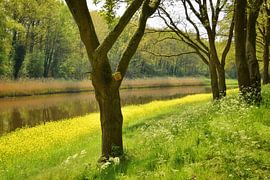 Drongelens-Kanal von Monique Verlouw