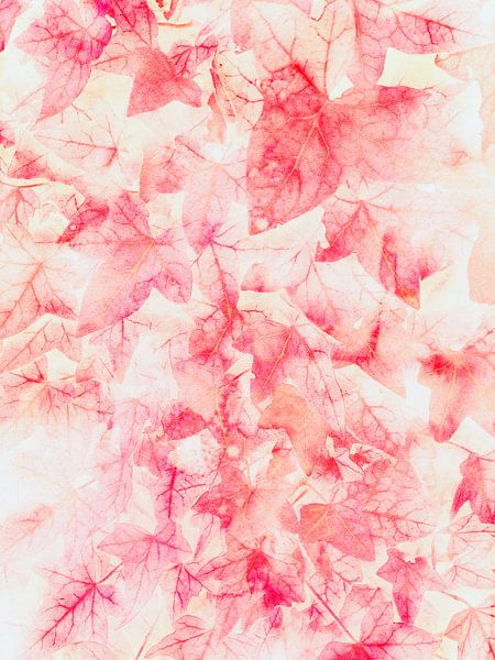 Red Ivy by Angelo Cerantola