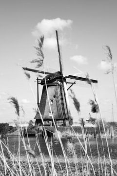 Windmühle Kinderdijk (Niederlande) von Martijn van den Baar