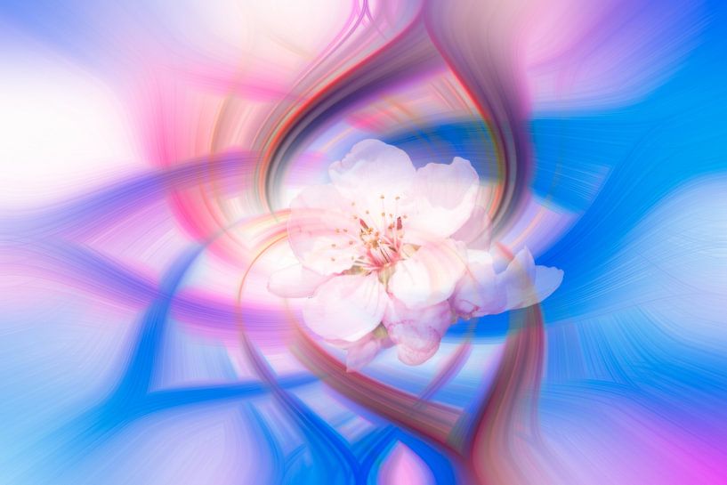 Abstract photo with twirl effect digitally alienated by ManfredFotos