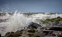 Ruige zee met opspattend water op de golfbrekers van Texel