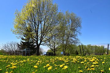 The park in spring by Claude Laprise