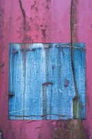 Colored in blue and pink