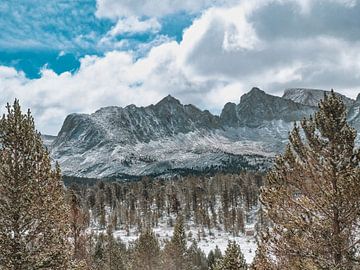 Schneebedeckte Berge mit hohen Bäumen von Marc van den Elzen