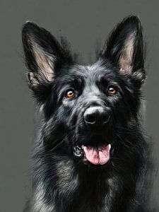 Deutscher Schäferhund #Hund