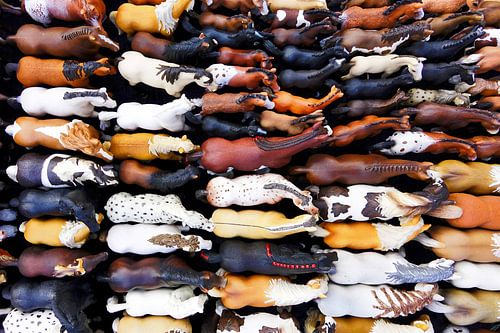 Nur Pferdeparkplätze