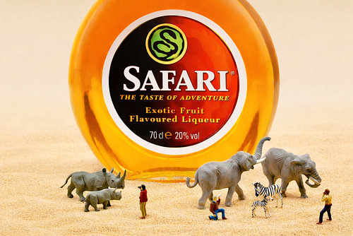 Photo Safari