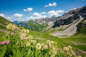 Vue fleurie sur la vallée de Hinterstein et le Hochvogel sur Leo Schindzielorz