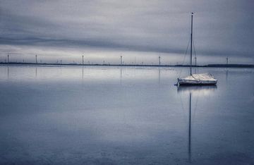 Winter at the lake sur Nienke Bot