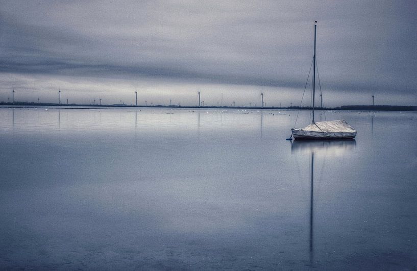 Winter at the lake by Nienke Bot