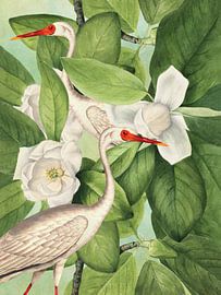 Hide Between the Magnolias sur Marja van den Hurk