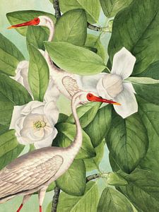 Hide Between the Magnolias von Marja van den Hurk