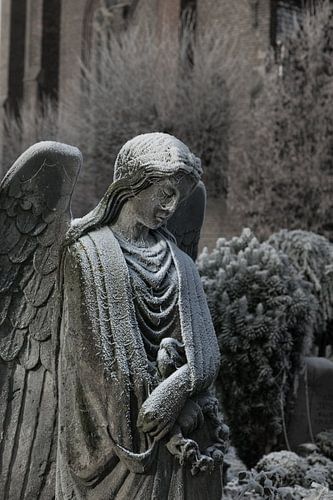 Heilige Maagd Maria in het ijs