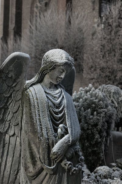 Holy Mary in the ice by Patrick Verhoef