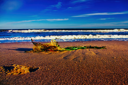 Rust en stillevens op het strand