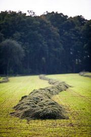 Agricultural landscape in the Achterhoek, near Winterswijk (3) by André Blom Fotografie Utrecht
