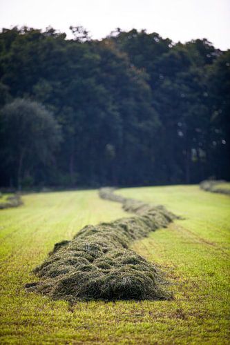 Agrarisch landschap in de Achterhoek, omgeving Winterswijk (3) van André Blom Fotografie Utrecht