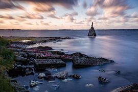 Arendshoofd by Jurgen Cornelissen