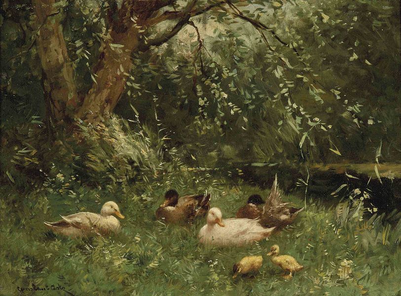 Ducks and Ducklings by Antonije Lazovic