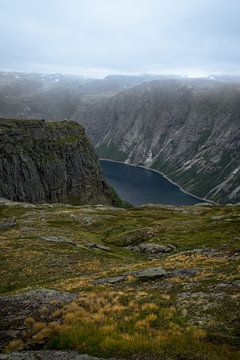 Fjorden in Noorwegen van Remco van Adrichem