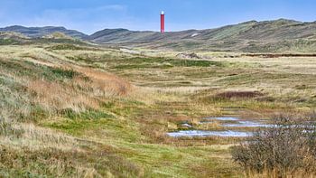 Duinen Den Helder-Callantsoog