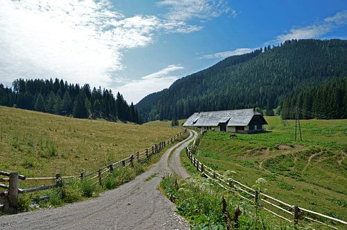 Wandelen in Oostenrijk.