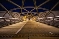 De Netkous, fiets/ voetbrug in Rotterdam