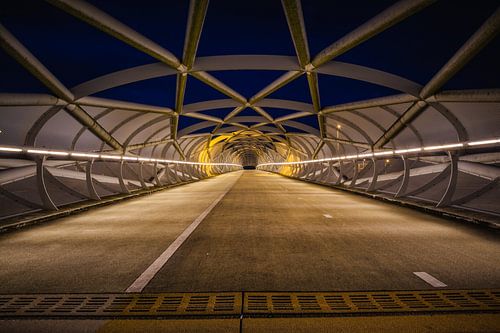 De Netkous, fiets/ voetbrug in Rotterdam