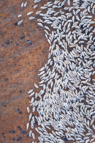Les huit trigrammes sont un ensemble de signes symboliques créés dans la Chine ancienne