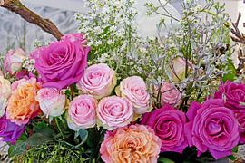 Vreugde van Rozen van christine b-b müller