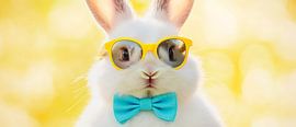 Cool rabbit with sunglasses and bow tie by Poster Art Shop