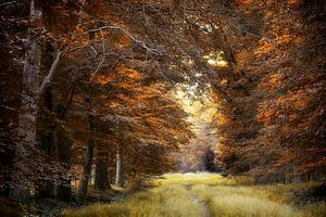 Season of Farewell
