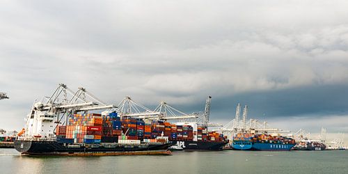Vrachtcontainerschip op de containerterminal in de haven van Rotterdam