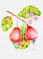 Blossoms & Cashew