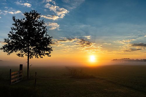 Sunrise - Meditation