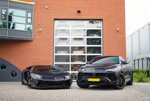 Blacked Out Lamborghini Aventador & Urus