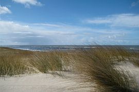 Freedom in the wind by Theodor Decker