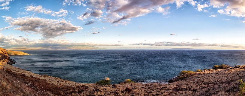 Westküste von Maui von Dirk Rüter