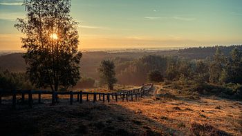 Treppe in Kwintelooijen