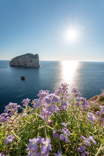 Zonnestralen op de kliffen van Sardinië in het Parco Naturale Di Porto Conte